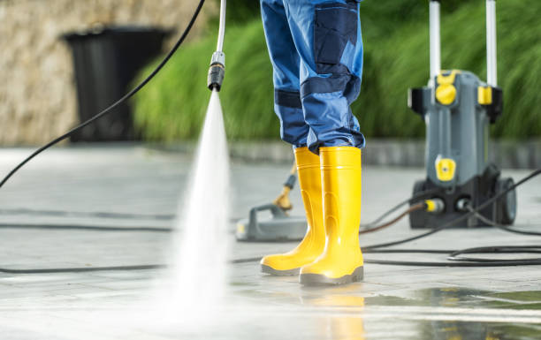 Best Roof Pressure Washing  in Ferdand, IN